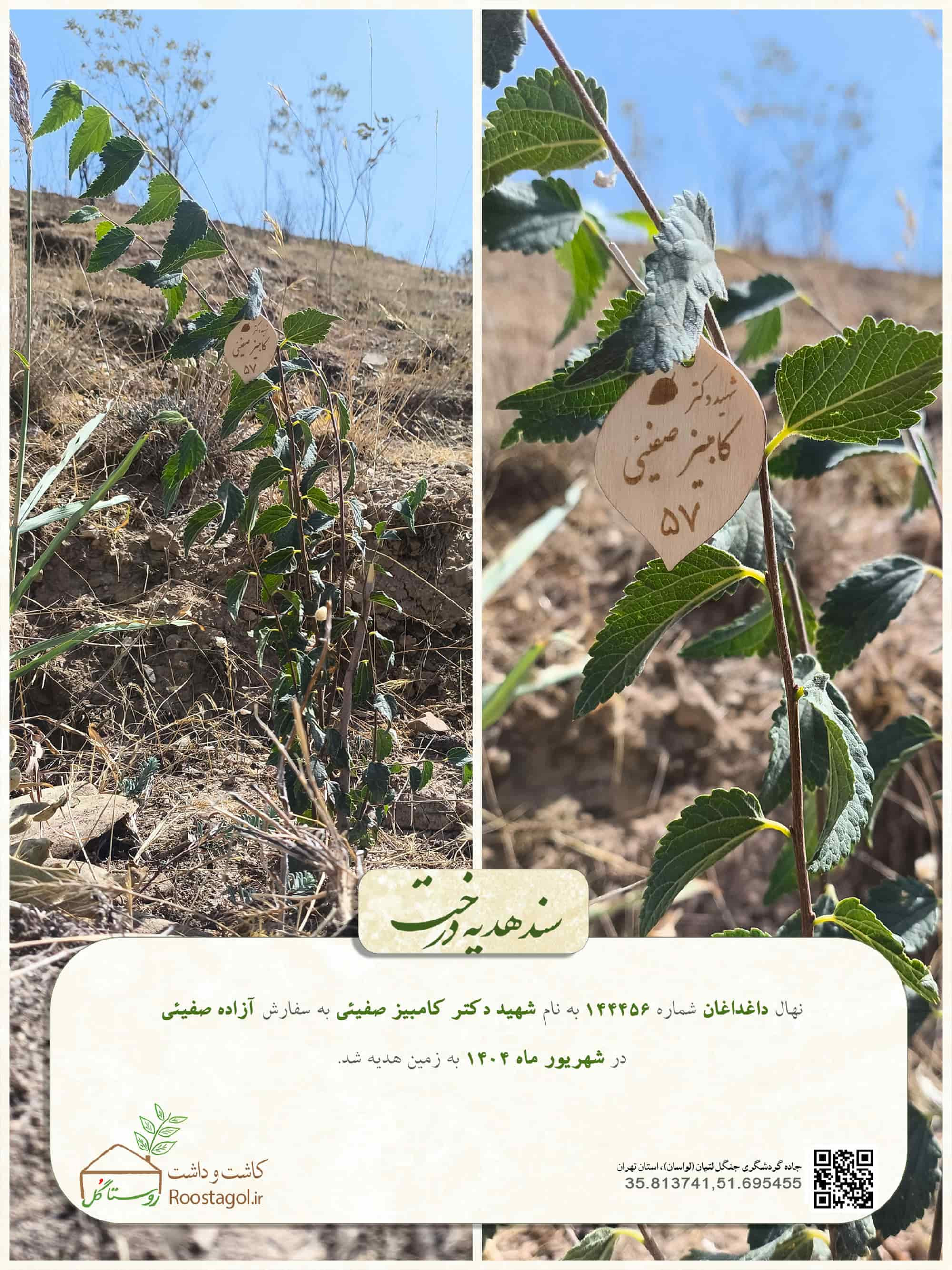 شهيد دكتر كامبيز صفيئى57